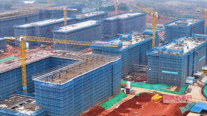 春光無限好 項目建設(shè)忙